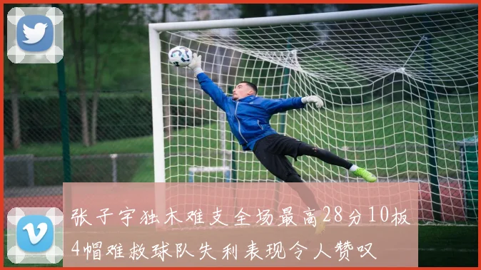 张子宇独木难支全场最高28分10板4帽难救球队失利表现令人赞叹
